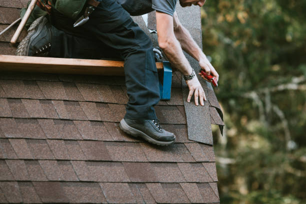 Best Roof Gutter Cleaning  in Clinton, AR